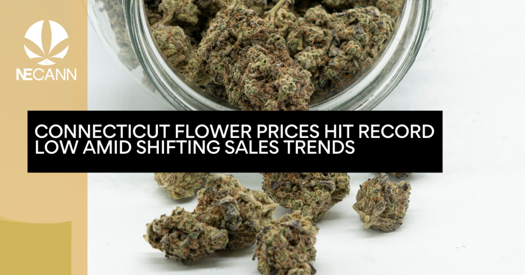 Connecticut Flower Prices Hit Record Low Amid Shifting Sales Trends