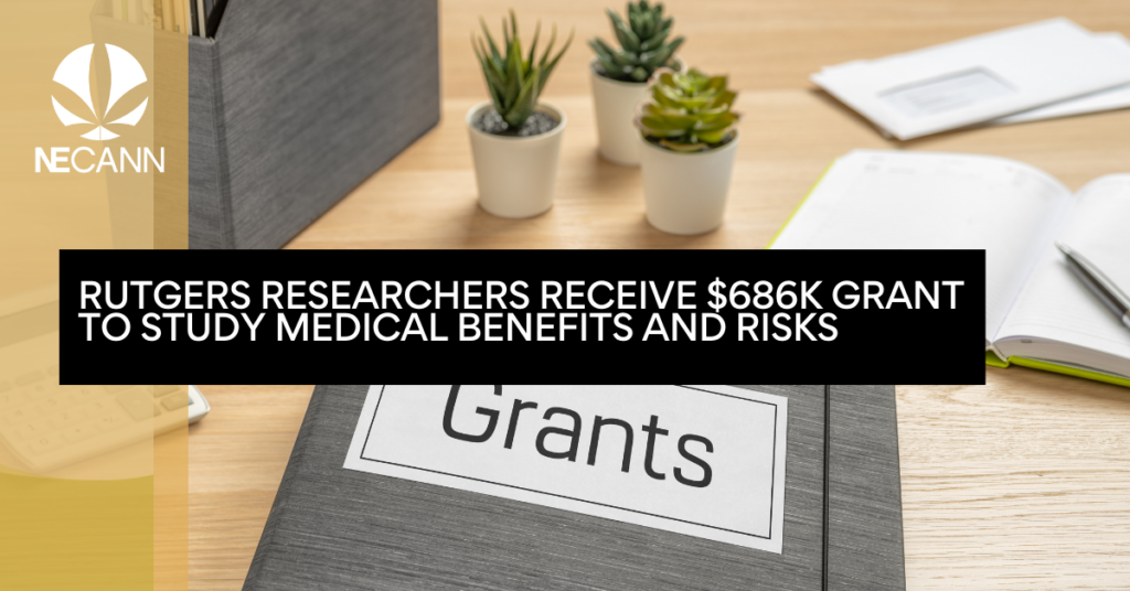 Rutgers Researchers Receive $686K Grant to Study Medical Benefits and Risks