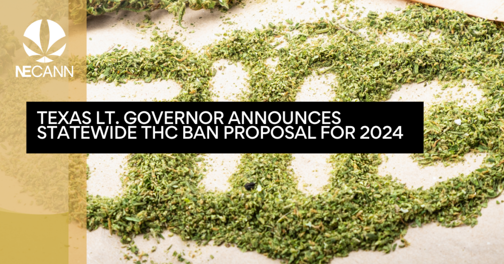 Texas Lt. Governor Announces Statewide THC Ban Proposal for 2024