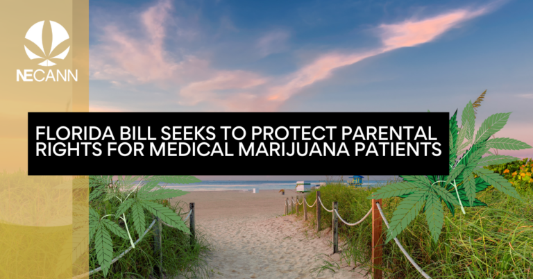 Florida Bill Seeks to Protect Parental Rights for Medical Marijuana Patients