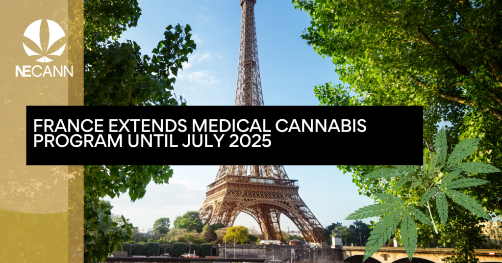 France Extends Medical Cannabis Program Until July 2025