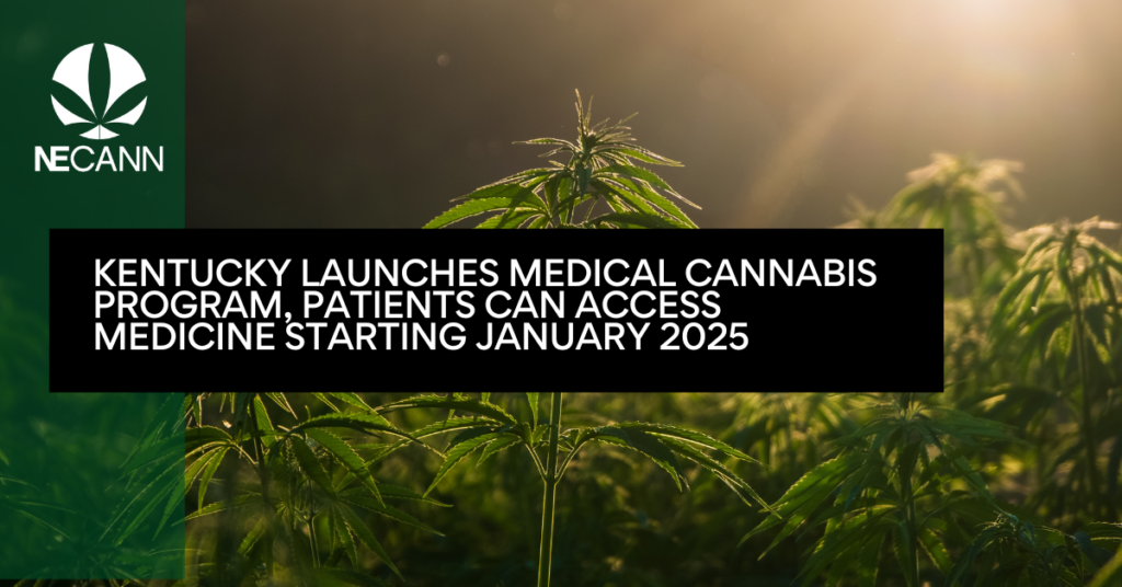 Kentucky Launches Medical Cannabis Program, Patients Can Access Medicine Starting January 2025