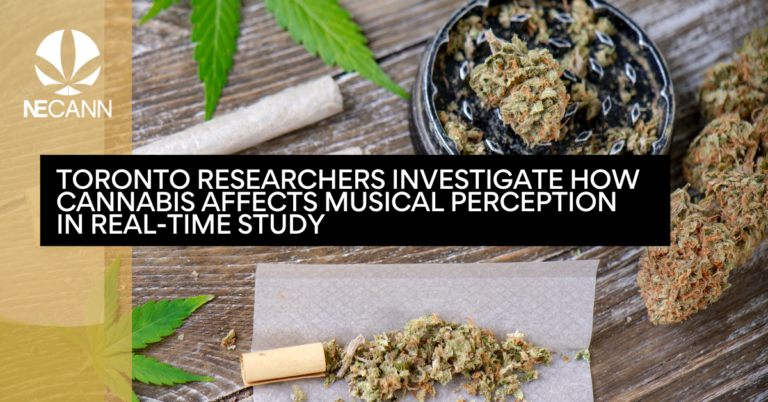 Toronto Researchers Investigate How Cannabis Affects Musical Perception in Real-Time Study