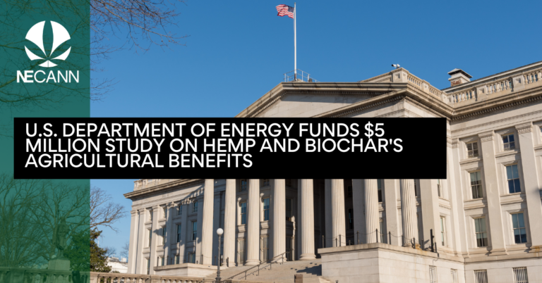 U.S. Department of Energy Funds $5 Million Study on Hemp and Biochar's Agricultural Benefits