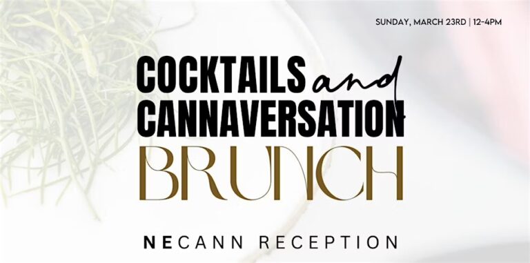 zed brunchs