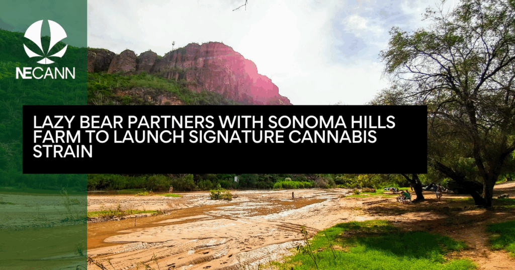 Lazy Bear Partners with Sonoma Hills Farm to Launch Signature Cannabis Strain