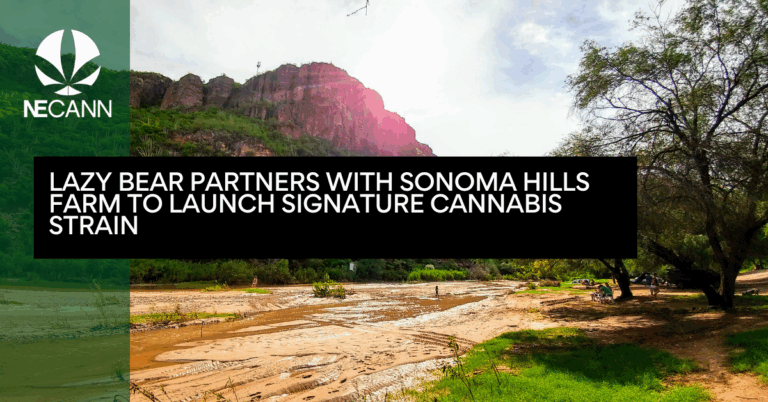 Lazy Bear Partners with Sonoma Hills Farm to Launch Signature Cannabis Strain