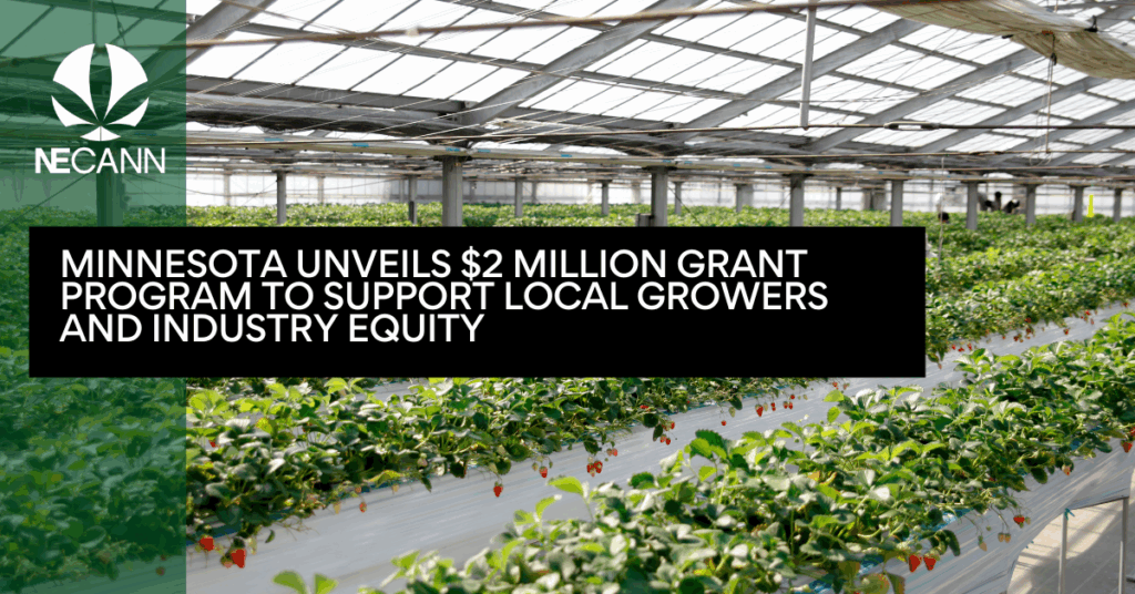 Minnesota Unveils $2 Million Grant Program to Support Local Growers and Industry Equity