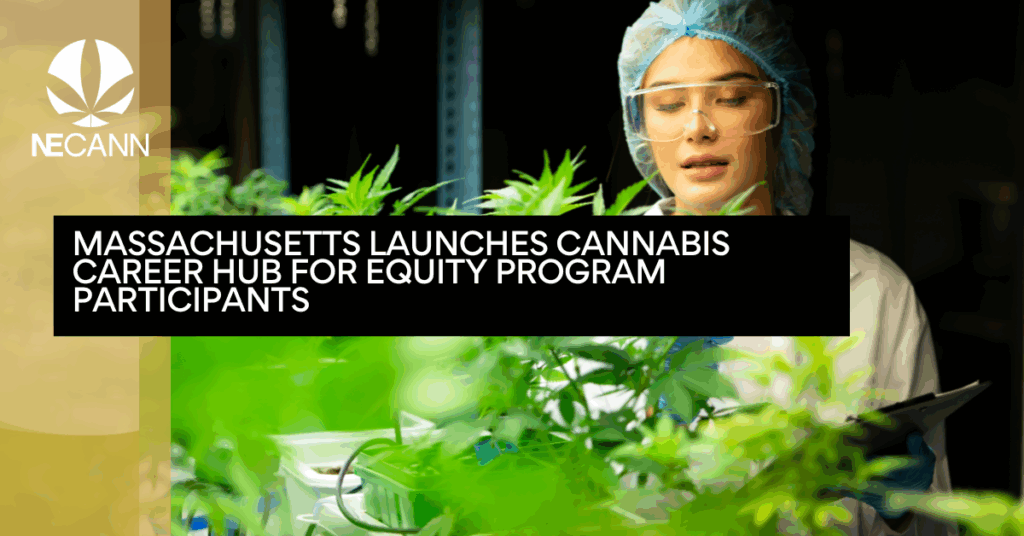 Massachusetts Launches Cannabis Career Hub for Equity Program Participants