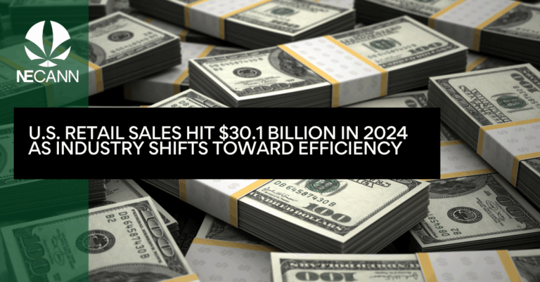 U.S. Retail Sales Hit $30.1 Billion in 2024 as Industry Shifts Toward Efficiency