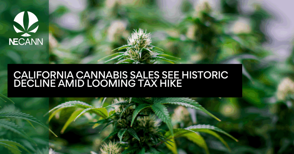 California Cannabis Sales See Historic Decline Amid Looming Tax Hike