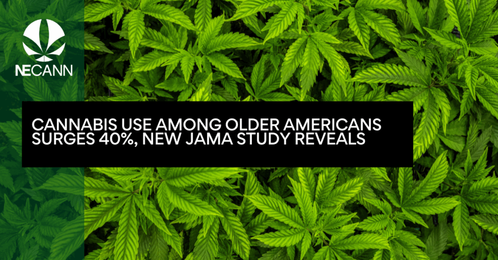 Cannabis Use Among Older Americans Surges 40%, New JAMA Study Reveals