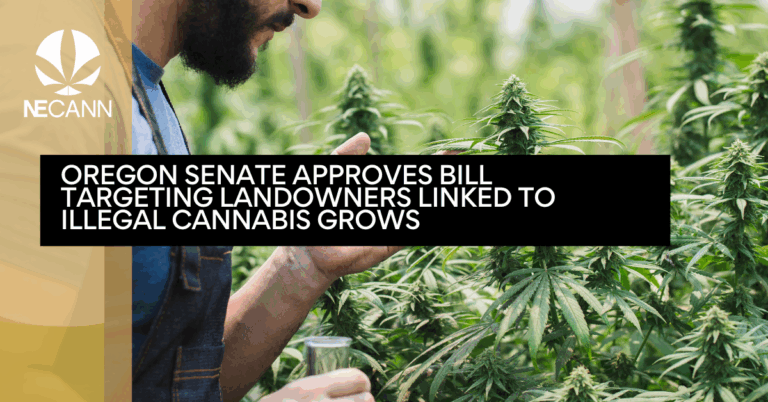 Oregon Senate Approves Bill Targeting Landowners Linked to Illegal Cannabis Grows