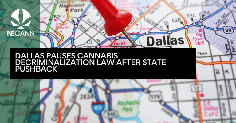 Dallas Pauses Cannabis Decriminalization Law After State Pushback
