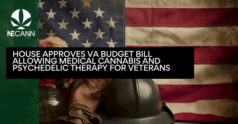 House Approves VA Budget Bill Allowing Medical Cannabis and Psychedelic Therapy for Veterans