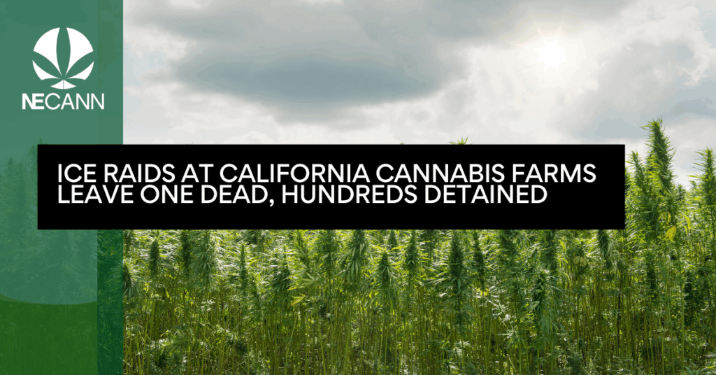 ICE Raids at California Cannabis Farms Leave One Dead, Hundreds Detained