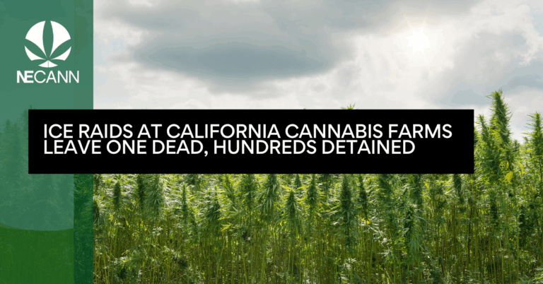 ICE Raids at California Cannabis Farms Leave One Dead, Hundreds Detained