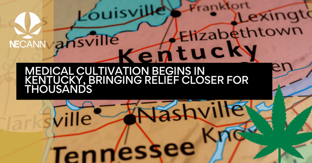 Medical Cultivation Begins in Kentucky, Bringing Relief Closer for Thousands