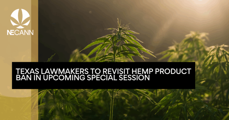 Texas Lawmakers to Revisit Hemp Product Ban in Upcoming Special Session