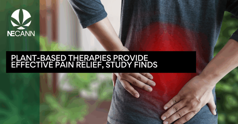 Plant-Based Therapies Provide Effective Pain Relief, Study Finds