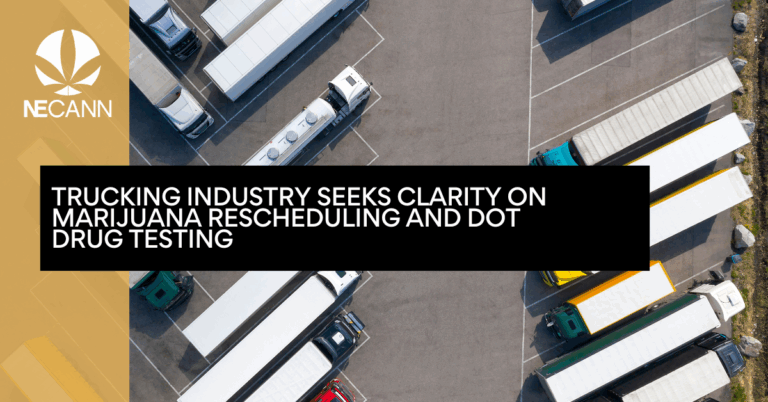 Trucking Industry Seeks Clarity on Marijuana Rescheduling and DOT Drug Testing